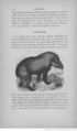 Buffon illustré de la jeunesse - 1893 Gallica page f122.jpg