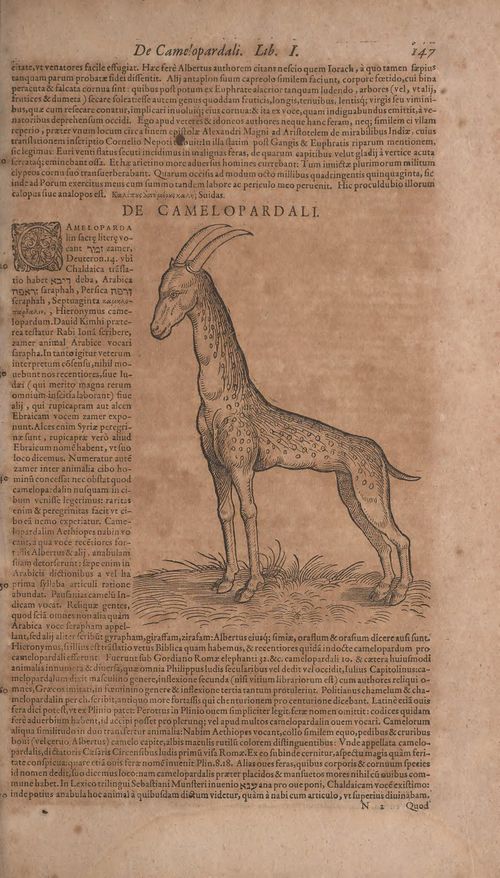 Historiae animalium Gessner secundo page 193.jpg