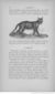 Buffon illustré de la jeunesse - 1893 Gallica page f88.jpg