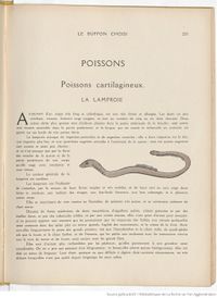 Le Buffon choisi de Benjamin Rabier, page f243.jpg