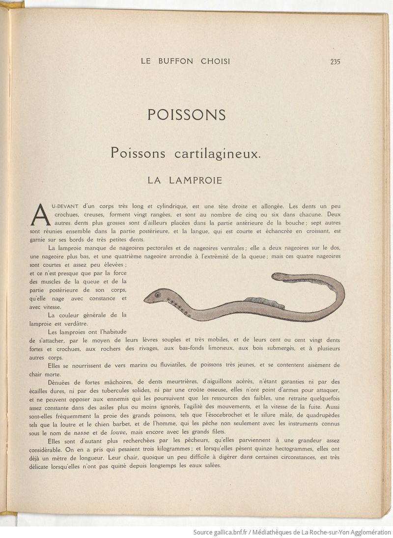 Le Buffon choisi de Benjamin Rabier, page f243.jpg