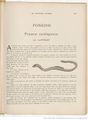 Le Buffon choisi de Benjamin Rabier, page f243.jpg