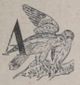 Alphabet Doudet Jaguar lettrine.jpg