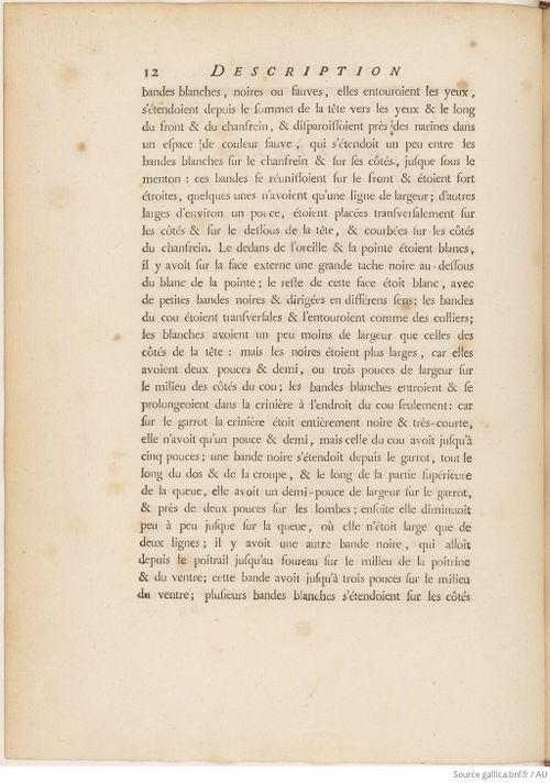 Buffon Hist Nat E.O. Tome 12 f44.jpg