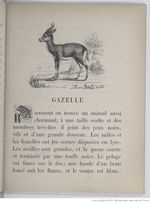 Alphabet illustré des animaux (1862) Doudet f29.jpg