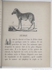 Alphabet illustré des animaux (1862) Doudet f63.jpg