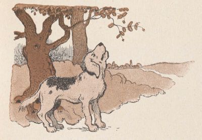 Buffon Rabier Chien image 8.jpg