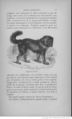 Buffon illustré de la jeunesse - 1893 Gallica page f29.jpg