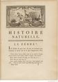 Buffon Hist Nat E.O. Tome 12 f33.jpg