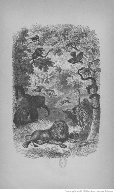 Buffon illustré de la jeunesse - 1893 Gallica page f6.jpg