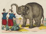 Elaphant jardin des plantes pinot epinal.jpg
