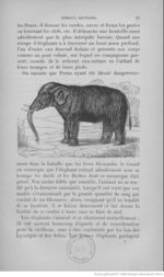 Buffon illustré de la jeunesse - 1893 Gallica page f105.jpg