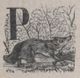 Alphabet Doudet Vache lettrine.jpg