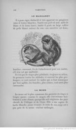 Buffon illustré de la jeunesse - 1893 Gallica page f140.jpg