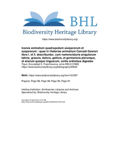 Icon animal quadrup BHL vulpes.pdf