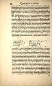 ← page précédente