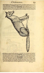 ← page précédente