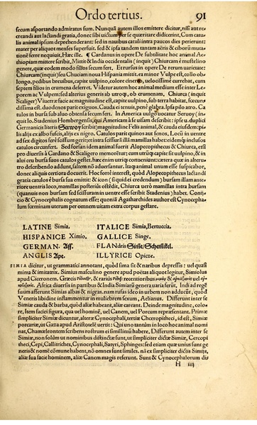 Fichier:Icon animal quadrup BHL vulpes.pdf