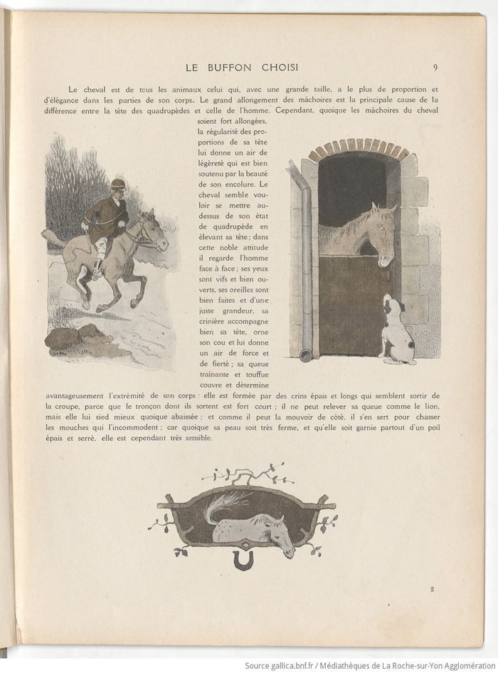 Le Buffon choisi de Benjamin Rabier, page f17.jpg