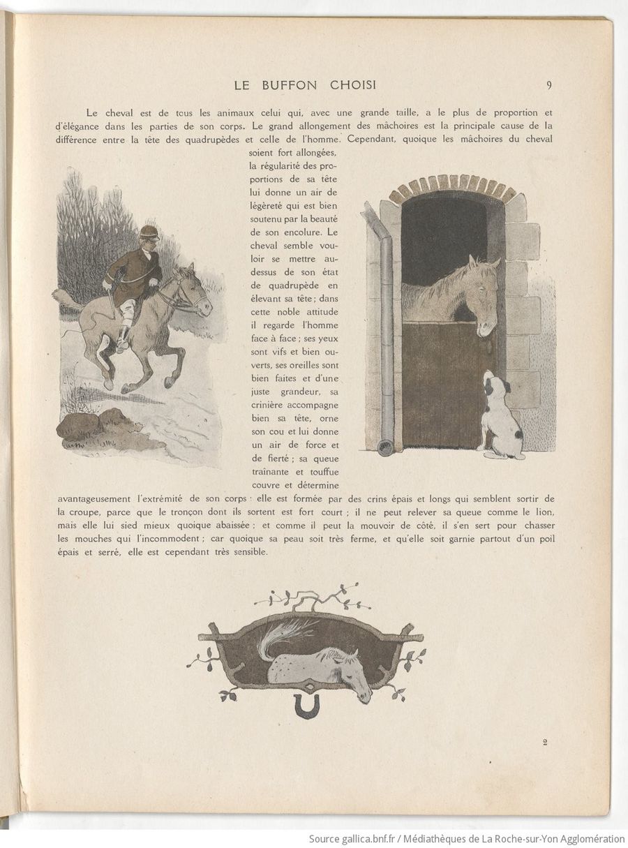 Le Buffon choisi de Benjamin Rabier, page f17.jpg