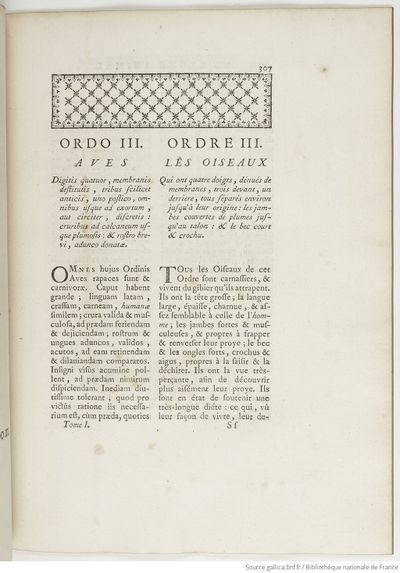 Ornithologie (1760) Brisson, Gallica, tome 1 page 337.jpg