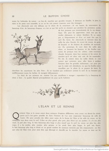 Le Buffon choisi de Benjamin Rabier, page f126.jpg
