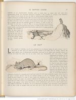 Le Buffon choisi de Benjamin Rabier, page f85.jpg