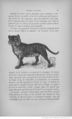 Buffon illustré de la jeunesse - 1893 Gallica page f79.jpg