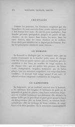 Buffon illustré de la jeunesse - 1893 Gallica page f280.jpg