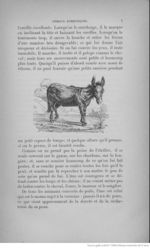 Buffon illustré de la jeunesse - 1893 Gallica page f15.jpg