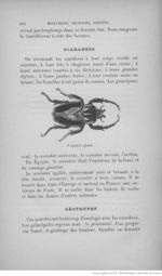 Buffon illustré de la jeunesse - 1893 Gallica page f284.jpg