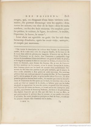 Buffon Hist Nat E.O. Tome P5 f395.jpg