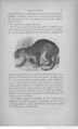 Buffon illustré de la jeunesse - 1893 Gallica page f83.jpg