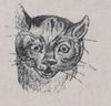 Alphabet Doudet Ornithorynque image.jpg