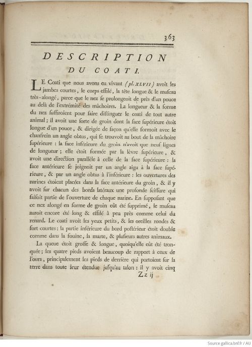 Buffon Hist Nat E.O. Tome 8 f471.jpg