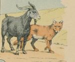 Le renard et la bouc (1895) Pellerin.jpg
