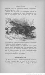 Buffon illustré de la jeunesse - 1893 Gallica page f55.jpg