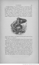 Buffon illustré de la jeunesse - 1893 Gallica page f137.jpg