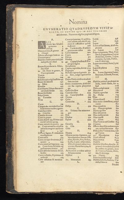 Historia animalium Gessner 1551 BHL Getty page 32.jpg