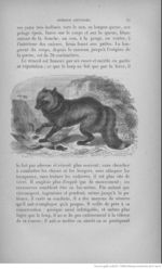 Buffon illustré de la jeunesse - 1893 Gallica page f39.jpg