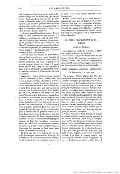 Les mammifères (1891) Brehm, Gerbe, tome 1 pages f688.jpg