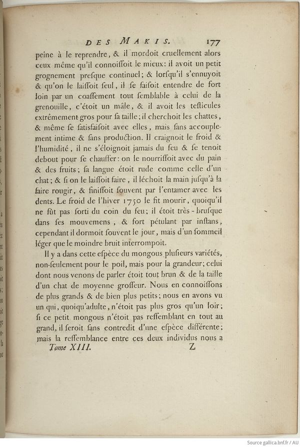 Buffon Hist Nat E.O. Tome 13 f255.jpg