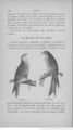 Buffon illustré de la jeunesse - 1893 Gallica page f156.jpg