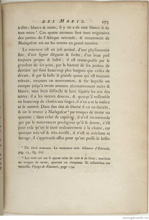 Buffon Hist Nat E.O. Tome 13 f253.jpg