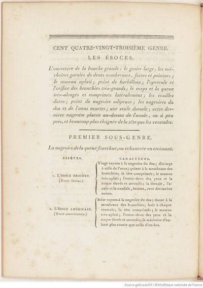 Buffon Hist Nat E.O. Tome P5 f384.jpg