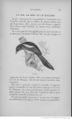 Buffon illustré de la jeunesse - 1893 Gallica page f177.jpg