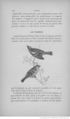 Buffon illustré de la jeunesse - 1893 Gallica page f170.jpg