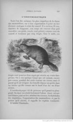 Buffon illustré de la jeunesse - 1893 Gallica page f133.jpg