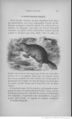 Buffon illustré de la jeunesse - 1893 Gallica page f133.jpg