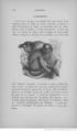 Buffon illustré de la jeunesse - 1893 Gallica page f142.jpg